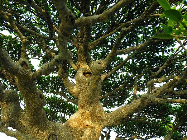 DSCF0142.JPG DSCF0142.JPG