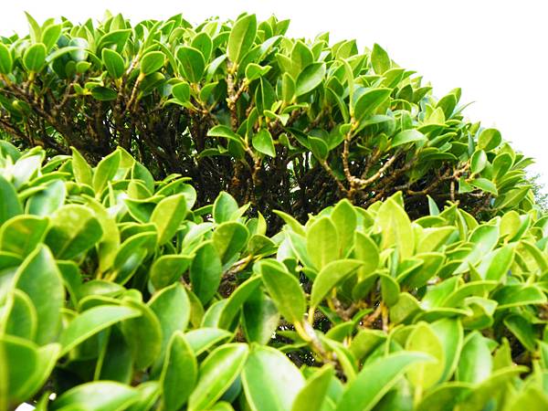 DSCF0143.JPG DSCF0143.JPG