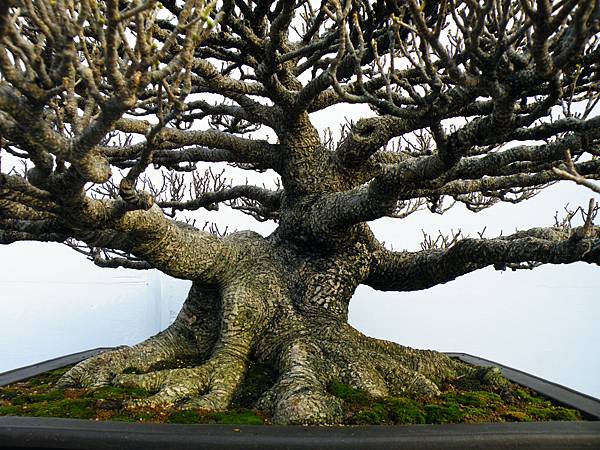 DSCF0146.JPG DSCF0146.JPG