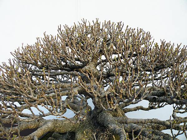 DSCF0147.JPG DSCF0147.JPG