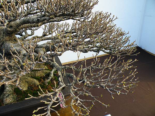 DSCF0149.JPG DSCF0149.JPG