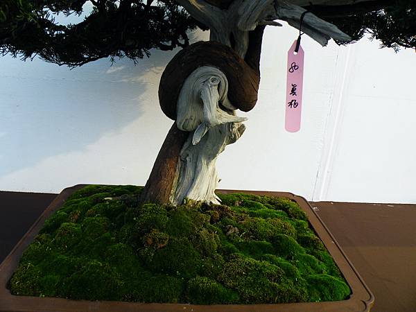 DSCF0151.JPG DSCF0151.JPG