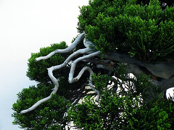 DSCF0154.JPG DSCF0154.JPG