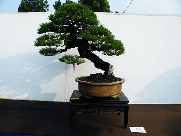 DSCF0160.JPG DSCF0160.JPG