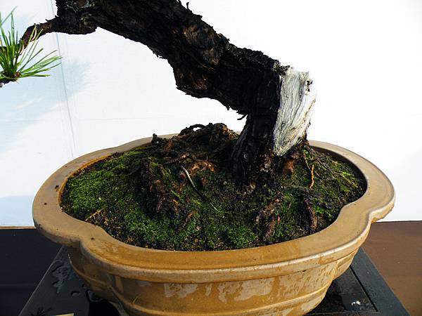 DSCF0161.JPG DSCF0161.JPG