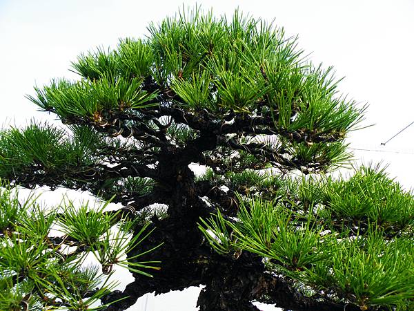 DSCF0163.JPG DSCF0163.JPG