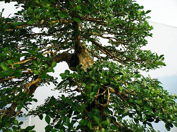 DSCF0166.JPG DSCF0166.JPG