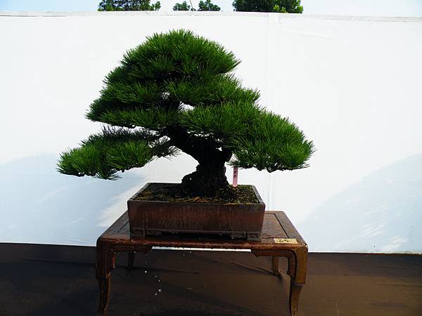 DSCF0168.JPG DSCF0168.JPG