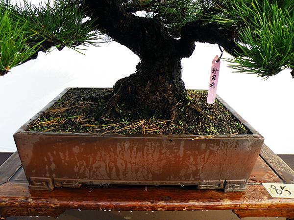 DSCF0169.JPG DSCF0169.JPG