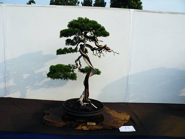 DSCF0173.JPG DSCF0173.JPG