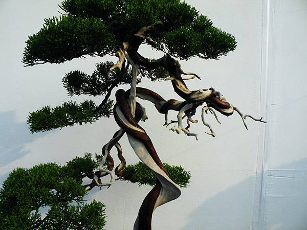 DSCF0175.JPG DSCF0175.JPG