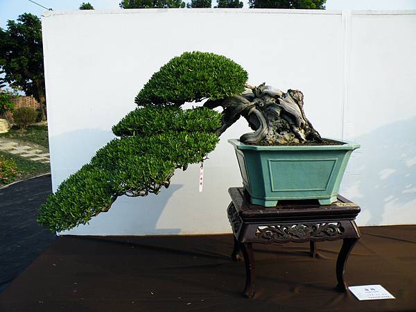 DSCF0176.JPG DSCF0176.JPG