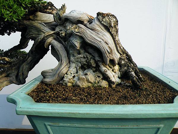 DSCF0177.JPG DSCF0177.JPG