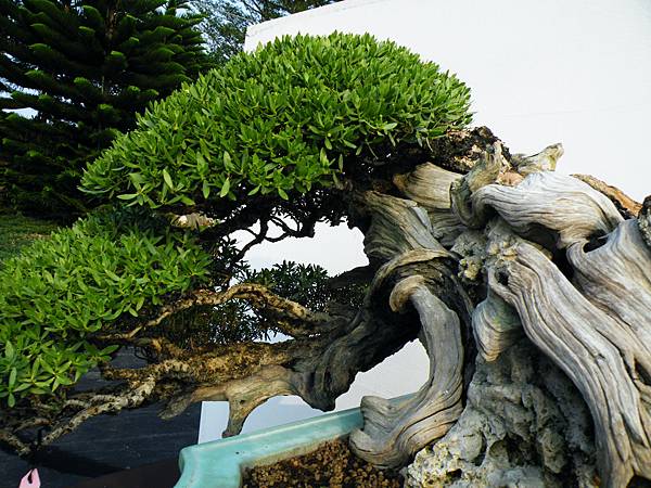 DSCF0178.JPG DSCF0178.JPG