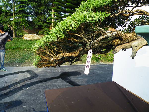 DSCF0179.JPG DSCF0179.JPG