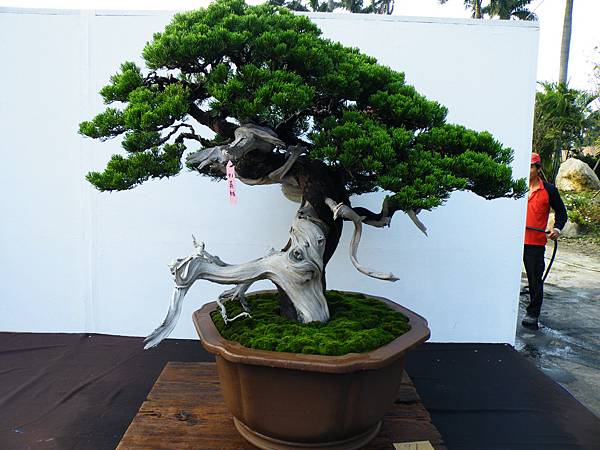 DSCF0180.JPG DSCF0180.JPG