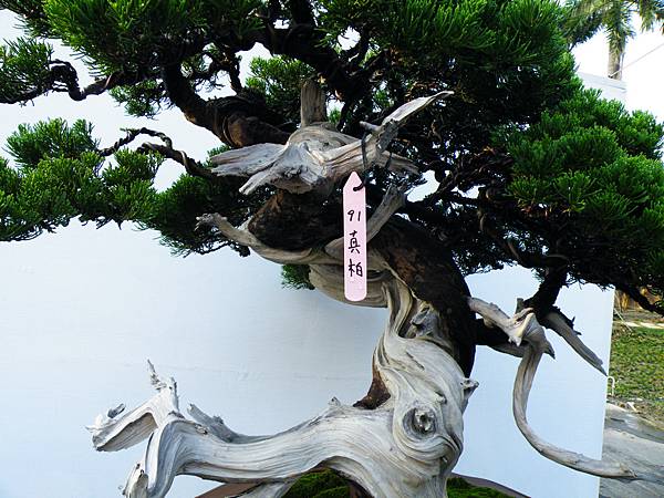 DSCF0182.JPG DSCF0182.JPG