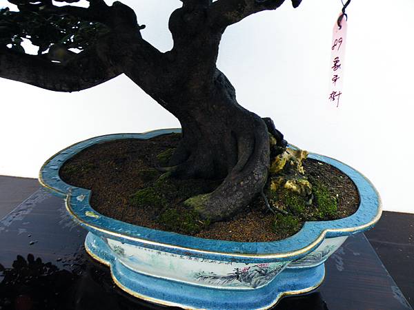 DSCF0188.JPG DSCF0188.JPG