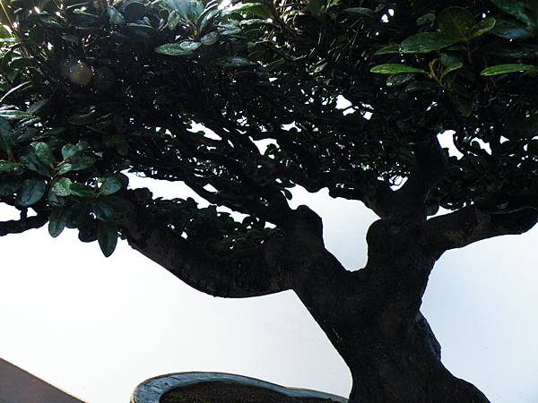 DSCF0189.JPG DSCF0189.JPG