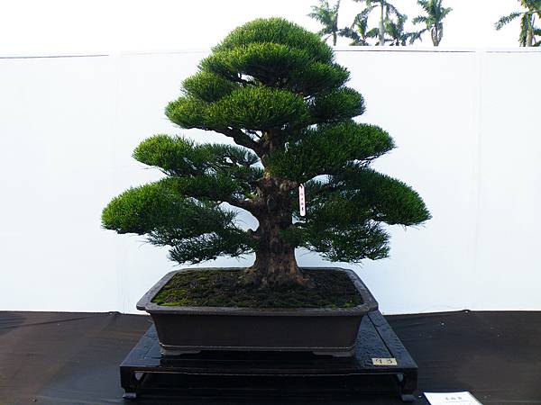 DSCF0190.JPG DSCF0190.JPG