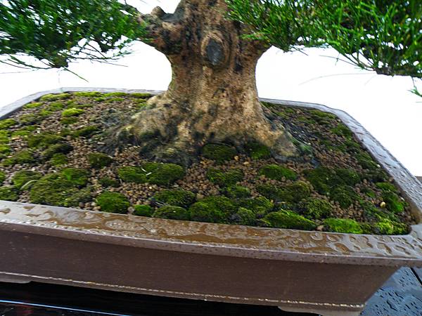 DSCF0191.JPG DSCF0191.JPG