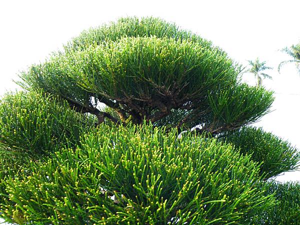 DSCF0193.JPG DSCF0193.JPG