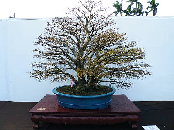 DSCF0200.JPG DSCF0200.JPG