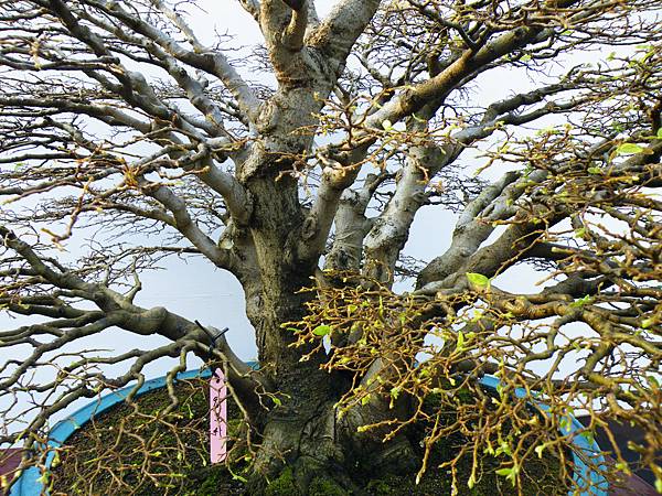 DSCF0202.JPG DSCF0202.JPG