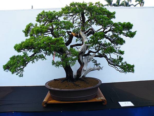 DSCF0204.JPG DSCF0204.JPG