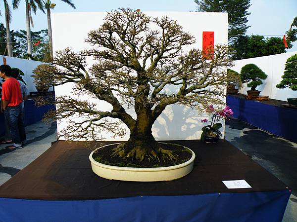 DSCF0206.JPG DSCF0206.JPG