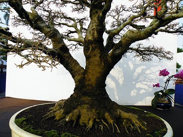 DSCF0208.JPG DSCF0208.JPG