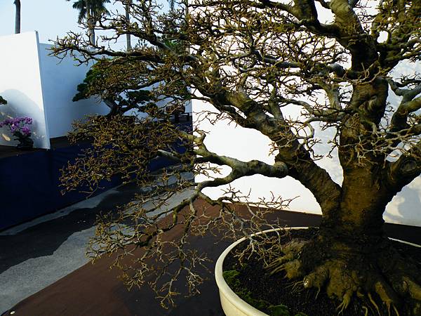 DSCF0209.JPG DSCF0209.JPG