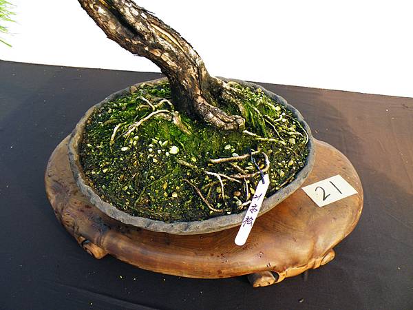 DSCF0212.JPG DSCF0212.JPG