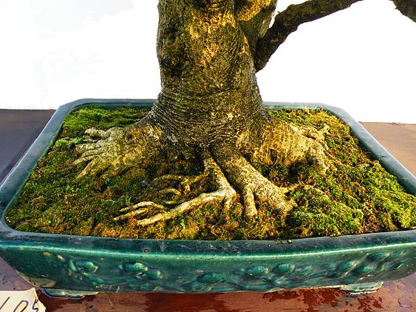 DSCF0214.JPG DSCF0214.JPG