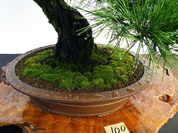 DSCF0219.JPG DSCF0219.JPG