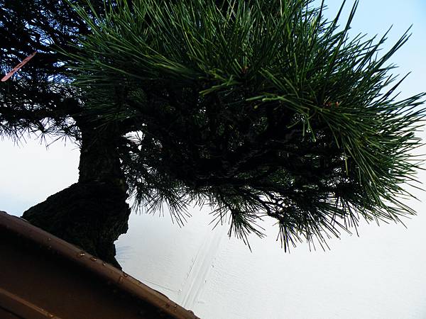 DSCF0222.JPG DSCF0222.JPG