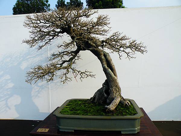 DSCF0227.JPG DSCF0227.JPG