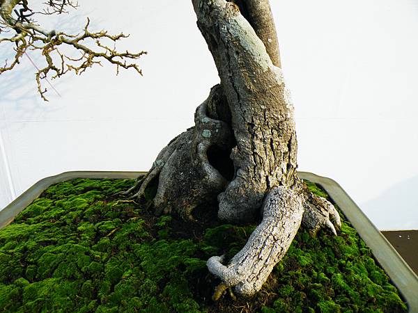 DSCF0228.JPG DSCF0228.JPG