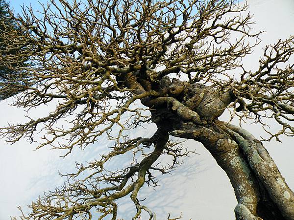 DSCF0229.JPG DSCF0229.JPG