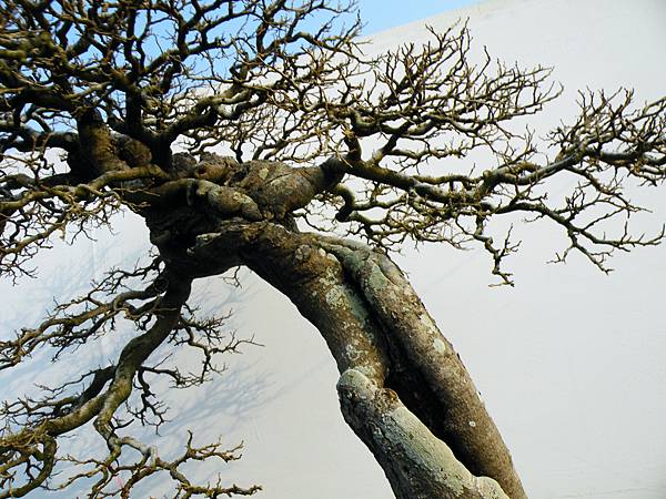 DSCF0230.JPG DSCF0230.JPG