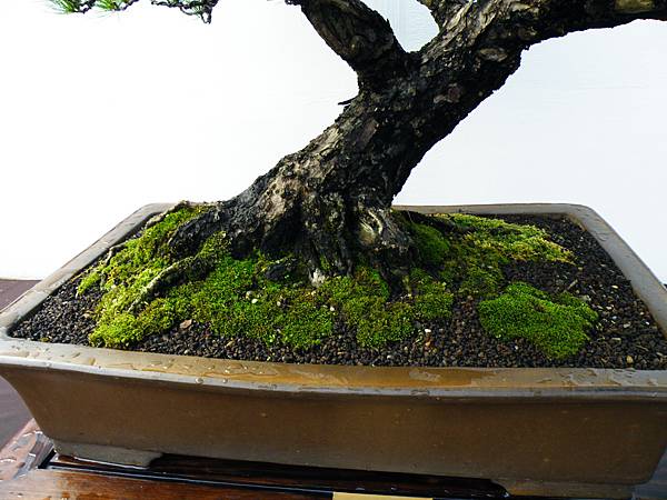 DSCF0249.JPG DSCF0249.JPG