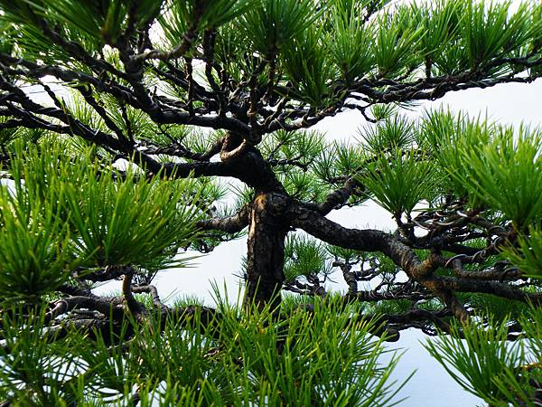 DSCF0251.JPG DSCF0251.JPG