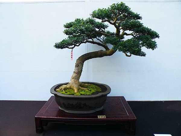 DSCF0256.JPG DSCF0256.JPG