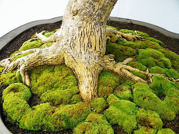 DSCF0257.JPG DSCF0257.JPG