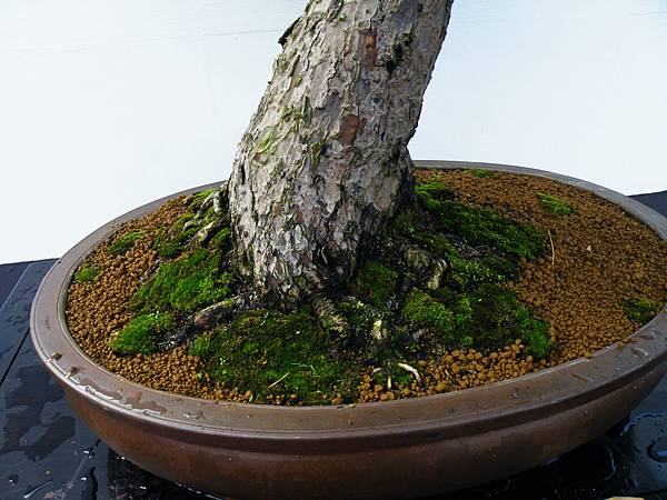 DSCF0261.JPG DSCF0261.JPG