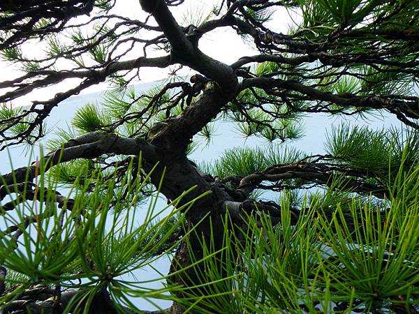 DSCF0263.JPG DSCF0263.JPG