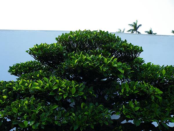 DSCF0268.JPG DSCF0268.JPG