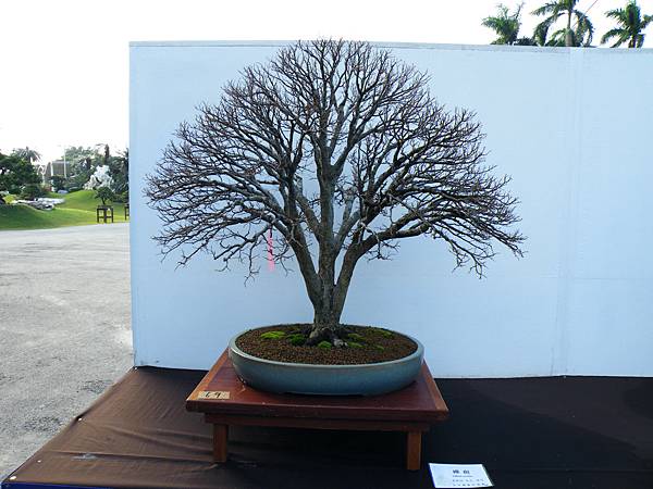 DSCF0269.JPG DSCF0269.JPG