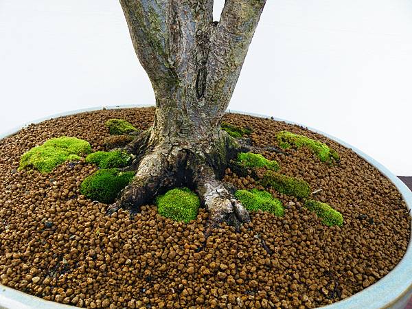 DSCF0270.JPG DSCF0270.JPG