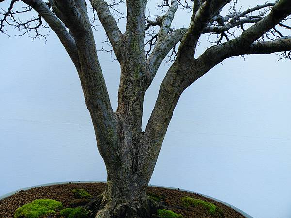 DSCF0271.JPG DSCF0271.JPG